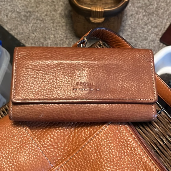 Fossil - Picture 4 of 6